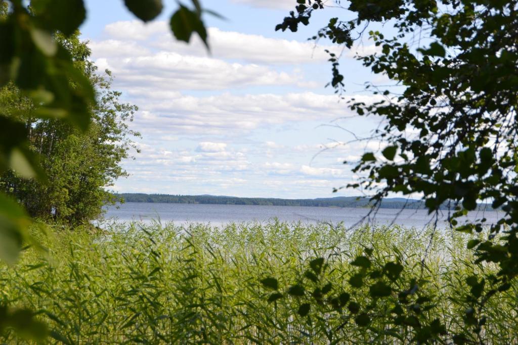 Kokonvaara Holiday Home Tuomarniemi חדר תמונה